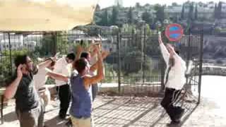 jewish trancethe dancing rabbi [upl. by Petrick]