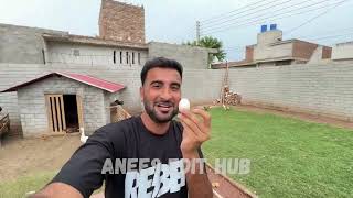 Hiran K Gly Main Darwaza Phans Gea😨Ab Kia Hoga Shehr Main Dihat Mini Vlog shehrmaindihat [upl. by Edaj]