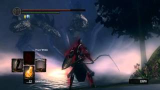 Dark Souls NG Bosses  Hydra  1080p HD [upl. by Enilrac]