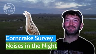 Experience a midsummer night in Lewis listening for endangered Corncrakes [upl. by Zenitram]