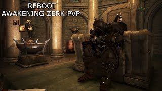 BDO  REBOOT AWAKENING ZERK PVP GUIDE addons and all [upl. by Woothen]