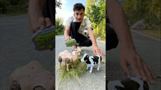 Rc Remote Control Camel 🐪 With Cow ki unboxing 🔥 [upl. by Yetac237]