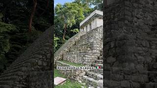 Bonampak chiapas travel mexico [upl. by Yentroc]