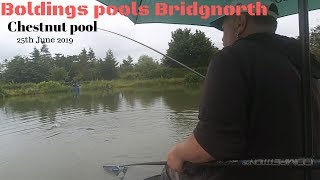 Boldings pools Bridgnorth Chestnut pool fishing match [upl. by Isabelita877]