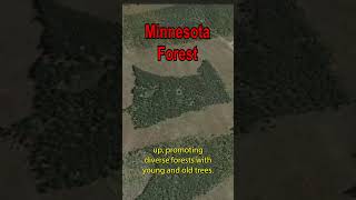 The MinnesotaShaped Forest geography [upl. by Inoliel]