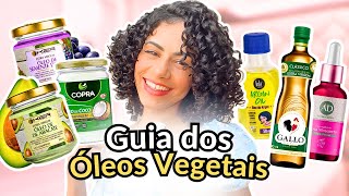 Como escolher o óleo ideal para cada tipo de cabelo  Guia dos Óleos Vegetais [upl. by Choo]