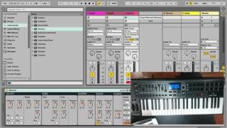 Ableton Preferences  Link MIDI [upl. by Aramak]