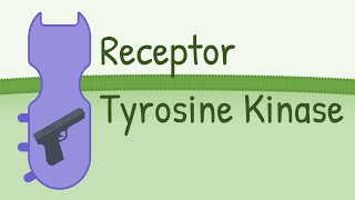 Receptor Tyrosine Kinase  MAPK Pathway [upl. by Luap410]