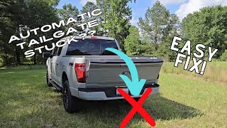 Ford Automatic Tailgate NOT WORKING EASY 5 MIN FIX [upl. by Ardnauq453]