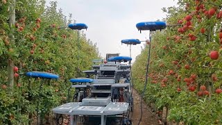 Israel enlists drones AI and big data to farm for the future  AFP [upl. by Alleras665]