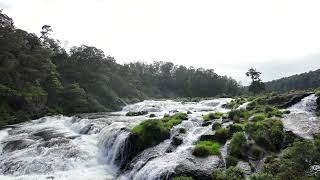 beauty of pykara waterfall😍 [upl. by Shank]