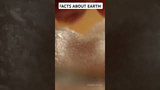 Amazing facts about Earth 🌍 [upl. by Oirotciv]