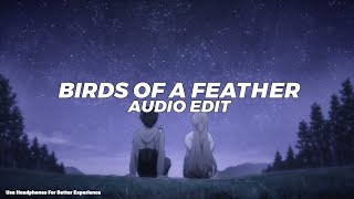 birds of a feather tiktok version  billie eilish edit audio [upl. by Retsel]