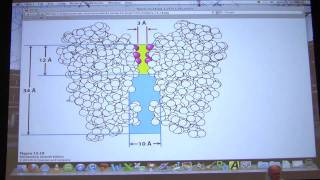 32 Biochemistry Nerve TransmissionMitochondria Lecture for Kevin Aherns BB 451551 [upl. by Wilen898]