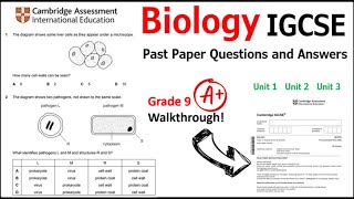 IGCSE Biology Past Paper Exam Questions and Answers  Units 1 2 and 3  Grade 9  A [upl. by Rogozen]