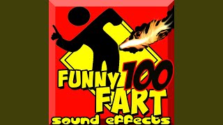 Small Funny Farts X 7 [upl. by Appleby]