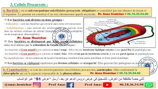 Biologie Cellulaire BCG S1  Chapitre I  Généralités 2ème Partie شرح بالدارجة [upl. by Anirrak354]