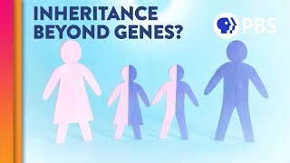 Is Epigenetic Inheritance Real [upl. by Airekat]