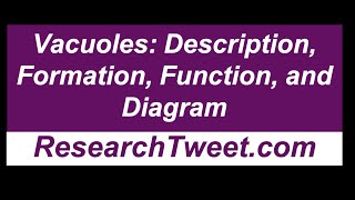 Vacuoles Description Formation Function and Diagram [upl. by Llenyr504]