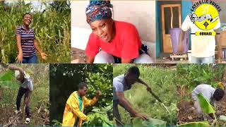 Akuafo Mo Farmers Day Song [upl. by Hoban]