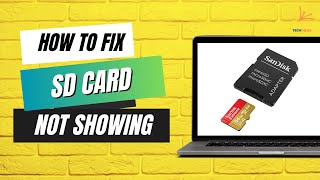 How to Fix All Problem of SD Card Not Showing Not Working Need to Format Disk in Windows PC [upl. by Eelrebma]