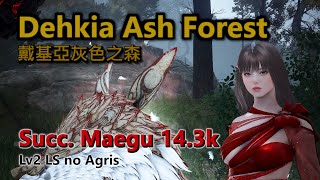 BDO  Dehkia Ash Forest  Succ Maegu  143k trashh  Lv2 LS no Agris [upl. by Xyno]