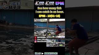 EP8610 0116 1小時14隻另有大金目鱸拉爽爽 金目鱸 海釣場 大湖海釣場 Barramundi LatesCalcarifer Fishing [upl. by Kyte]