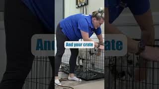 STOP Crate Barking With THIS Tip [upl. by Puttergill]