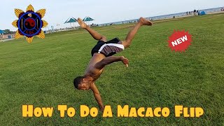 How To Do A Macaco Flip Capoeira [upl. by Ninahs28]