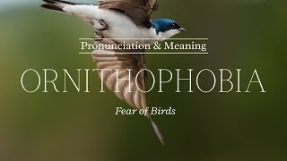 How to Pronounce Ornithophobia  British Pronunciation amp Meaning [upl. by Byrn]