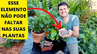 TRÊS ADUBOS RICOS EM FÓSFORO PARA PLANTAS DA SUA HORTA NO QUINTAL E EM VASOS Ep143 [upl. by Suivatnod553]