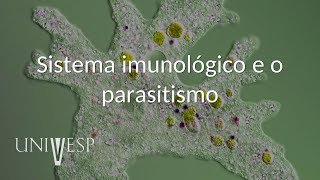 Parasitologia  Aula 03  Sistema imunológico e o parasitismo [upl. by Tijnar]