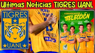 🐯🔥 Ultimas Noticias TIGRES UANL Terrible BAJA para ENFRENTAR a PUEBLA Acaparan al AMERICA en SELEC [upl. by Coltun]