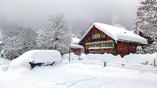 Heavy snowfall in Klosters ❄️ Switzerland 4K 🇨🇭 [upl. by Nahc]