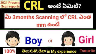 How to know the gender of the baby with CRL in mmCRL meansCRL values during pregnency [upl. by Llerrehc]