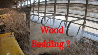 Bedding up Cow Beds [upl. by Fauch]