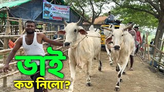 Bhai Koto Nilo Paragram Hozrotpur Gorur Haat 2024  Part 10  Qurbani Cow Price in Bangladesh [upl. by Rebliw]