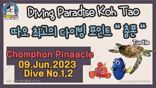 태국 꼬따오 최고의 다이빙 사이트 춤폰 피나클 Koh Tao Chumphon Pinnacle 0609 [upl. by Yesnil]