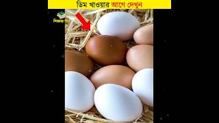 ডিম খাওয়ার আগে দেখুন  শিক্ষার পথ shorts egg [upl. by Niliram]