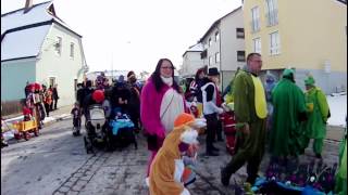 Faschingsumzug 2013 Burgau [upl. by Trstram826]