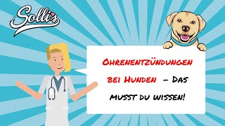 Ohrenentzündung beim Hund  Ursachen Symptome und Behandlung [upl. by Gaillard575]