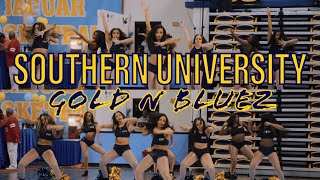 T4 Visuals  Southern University Gold N Bluez 2024 [upl. by Noneek]