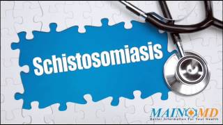 Schistosomiasis ¦ Treatment and Symptoms [upl. by Steck31]