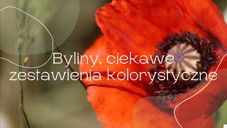 Byliny ciekawe połączenia kolorystyczne [upl. by Hester700]