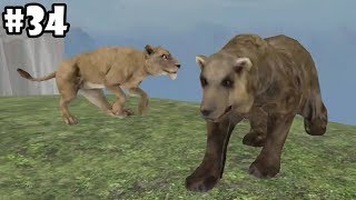 Wild Animals Online  Bear Group Battle AndroidiOS  Gameplay Episode 34 [upl. by Eiramik]