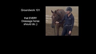 Groundwork Basics for the Dressage Horse [upl. by Chev]