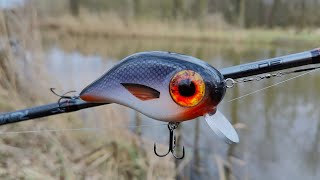 Making A Crankbait With HUGE Eyes  Start To Finish [upl. by Ecneps]