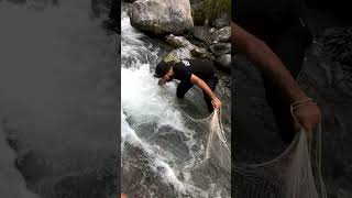 Net Fishing in Crowded Stream  Unexpected No Catch in Fast Water Adventure fishing ytshorts [upl. by Aicilef]