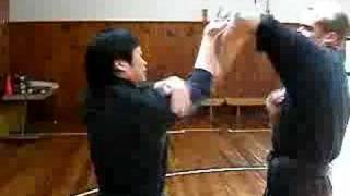 Wing Chun  Chi Sau Sparring 1 [upl. by Noteloc791]