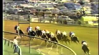 110th Preakness Stakes  May 18 1985 [upl. by Ahsuatal]